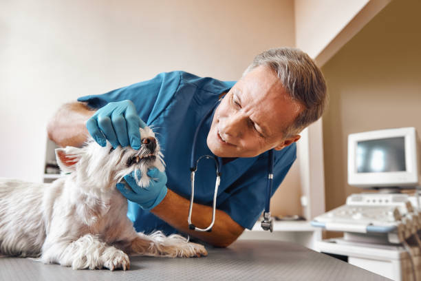 Best Walk-In Emergency Dentist in Deland Southwest, FL